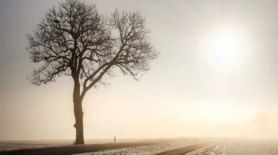 Днем дожди, а ночью мороз – прогноз погоды на 20-21 ноября
