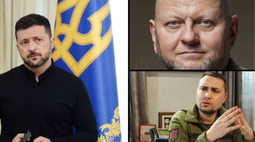 Zelenskyy and ambassador Zaluzhnyi lead presidential ratings, highest "second-choice" support revealed