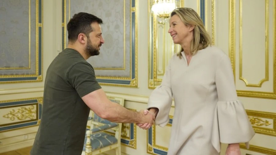 В Україну приїхала міністерка оборони Нідерландів: поговорила з Зеленським