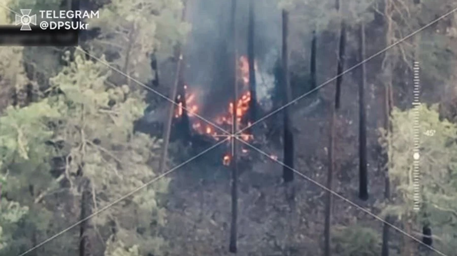 Ukrainian defenders destroy Russian ammunition storage point in forest on Lyman front