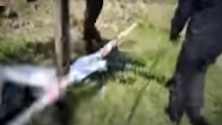 Another mass grave found near Makariv in Kyiv Oblast