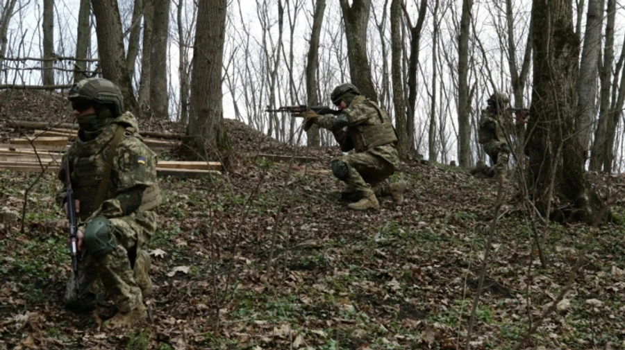 Контракт 18-24: ЗСУ розповіли про найпопулярніші спеціальності та мотивацію кандидатів