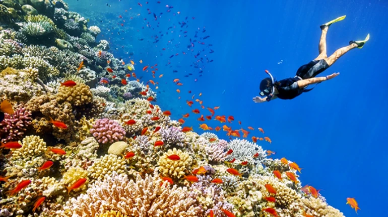 Напад акули на українців: туроператор розповів деталі трагедії