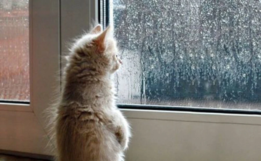 Половину України заллє, на іншій буде сухо