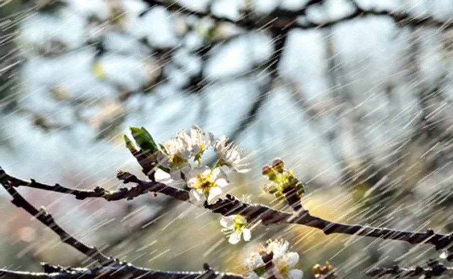 В Україні оголосили штормове попередження