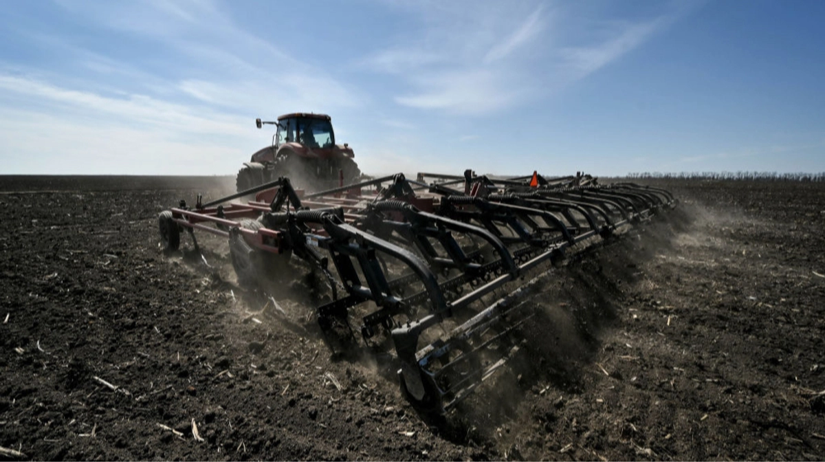 How Russia's war against Ukraine affects Ukrainian farmers