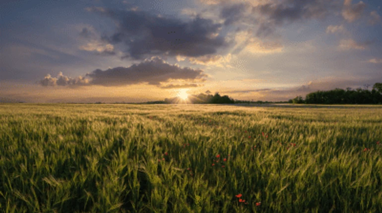 Якими ми хочемо бачити Донеччину та Луганщину після війни та що необхідно для відновлення українського Сходу
