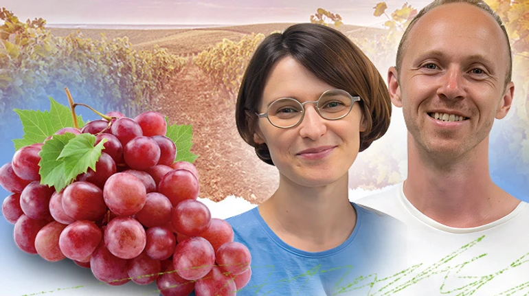 Самая активная фаза создания советских игристых вин - именно в разгар Голодомора. Об украинском виноделии от Триполья до наших дней