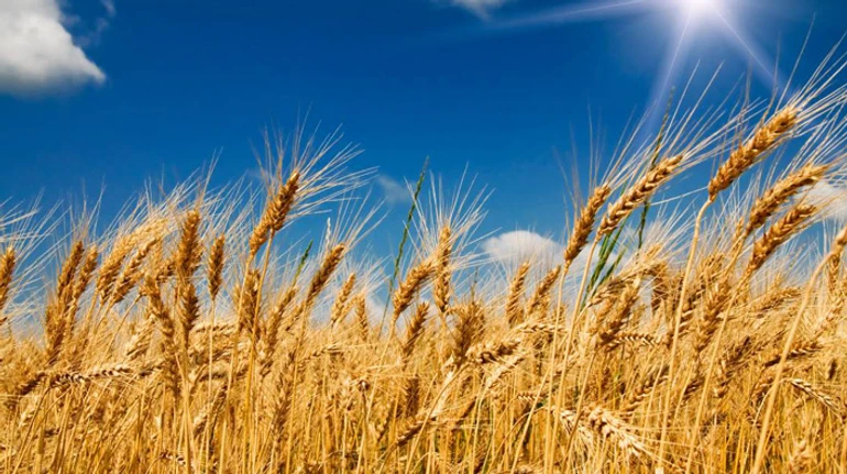 Вспомнить все: каким был год полномасштабного вторжения России в Украину