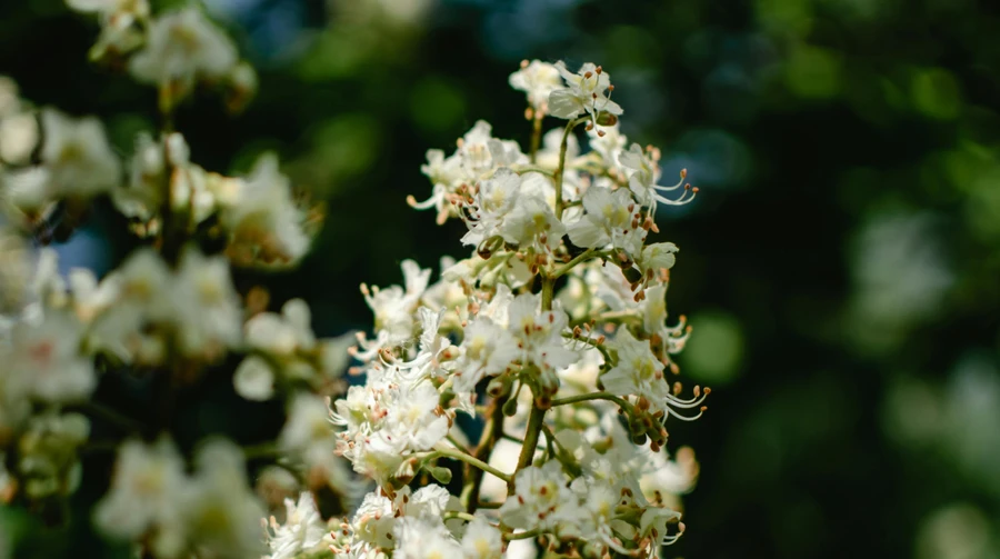 Первые ночи мая будут с заморозками, в воскресенье прогнозируют потепление