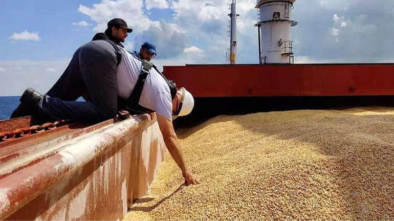 Аграрії очікують зростання цін на продукцію: у якому секторі найбільше