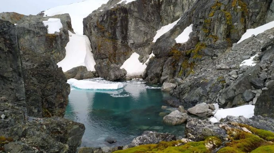 На станции Вернадского зафиксировали плюсовый температурный рекорд