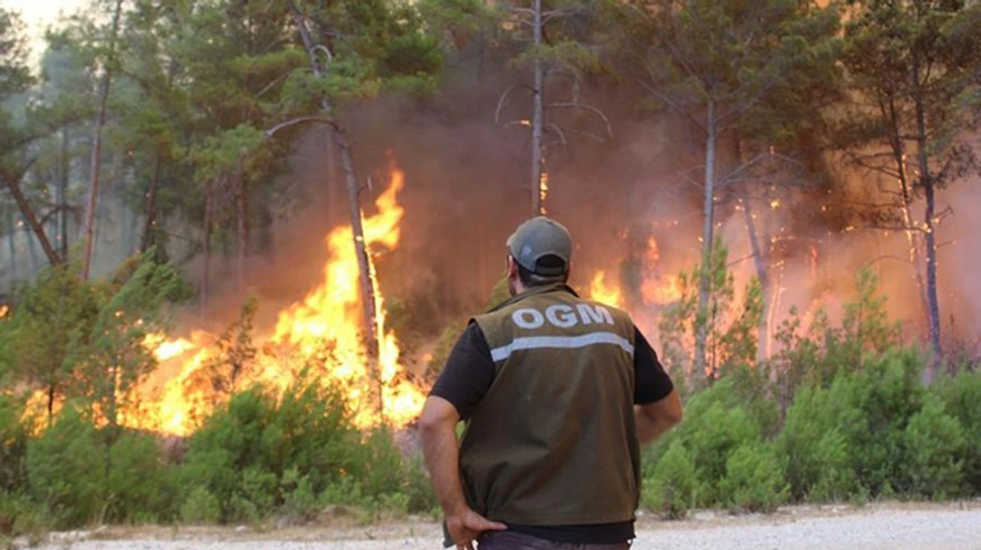 У Туреччині через пожежі евакуюють туристів з готелів