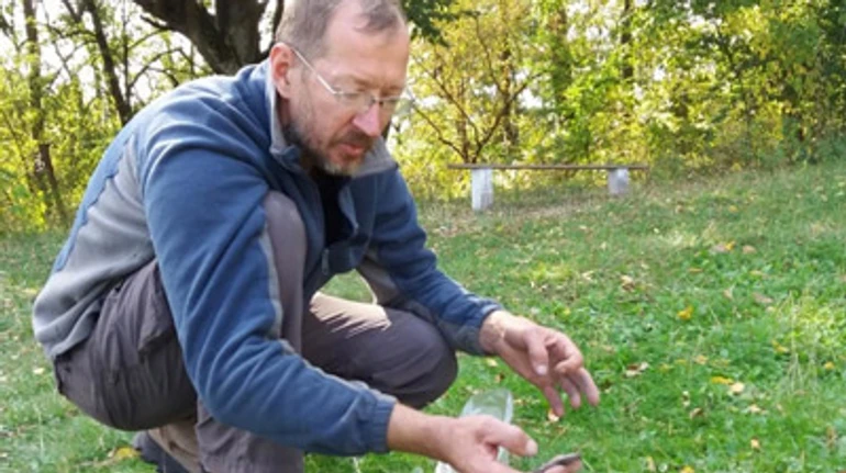 Городниця: від унікального скарбу до давньоруського городища