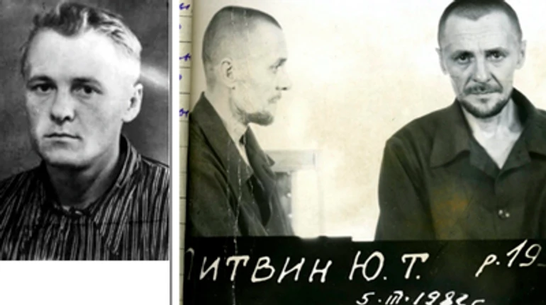 Роль Медведчука: Юрий Литвин и Василий Стус имели одного адвоката и погибли в одном лагере