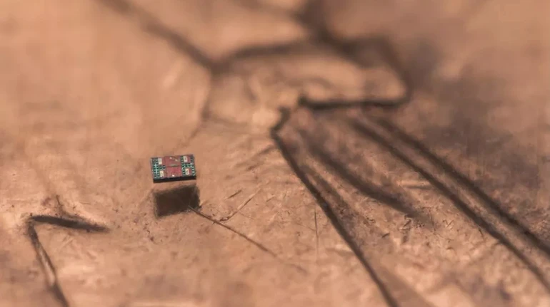 Вчені створили найменших у світі автономних роботів розміром із клітину