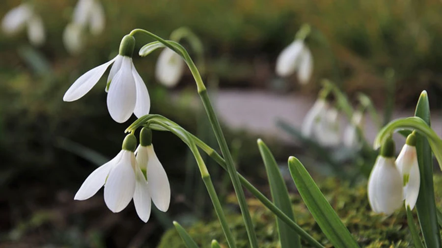 Синоптики прогнозируют, что этот март будет теплее, чем обычно