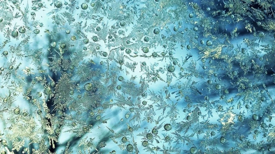 Февраль принесет Украине похолодание