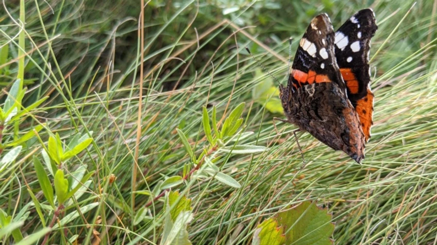 В четверг в Украине будет солнечно и тепло