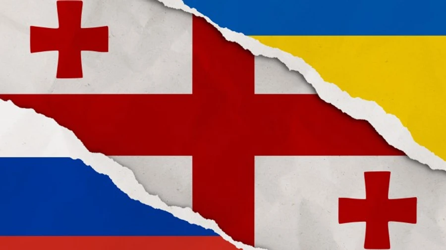 Делегація парламенту Грузії відмовилась від візиту в Київ у річницю вторгнення РФ