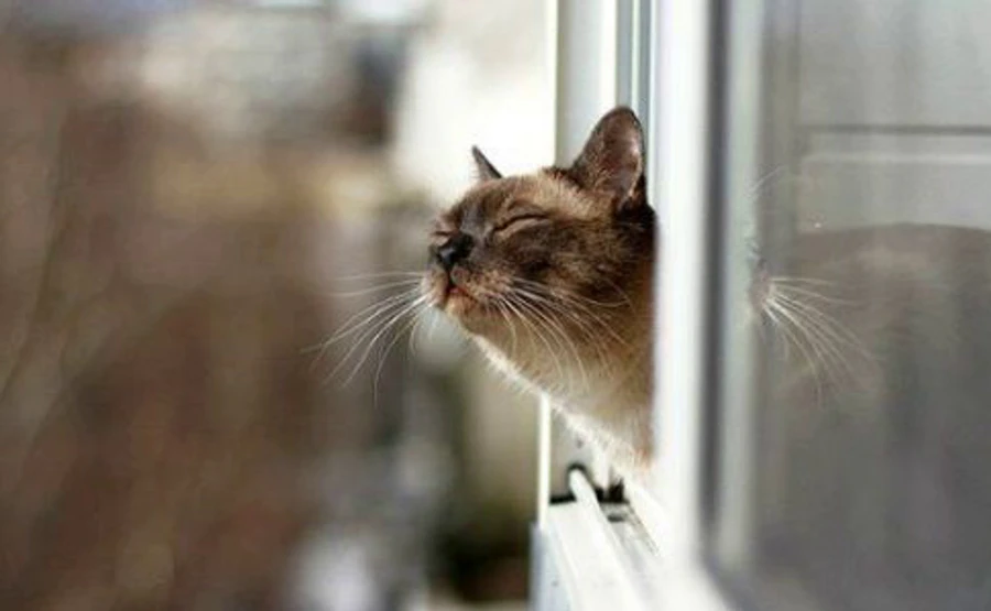 Синоптики розповіли, коли в Україну прийде тепло