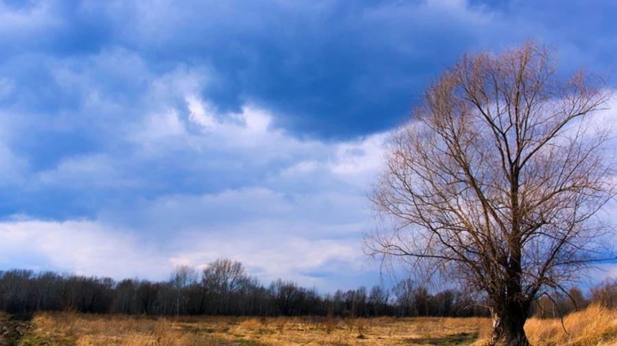 У суботу в Україні буде тепло, а в неділю на заході дощитиме