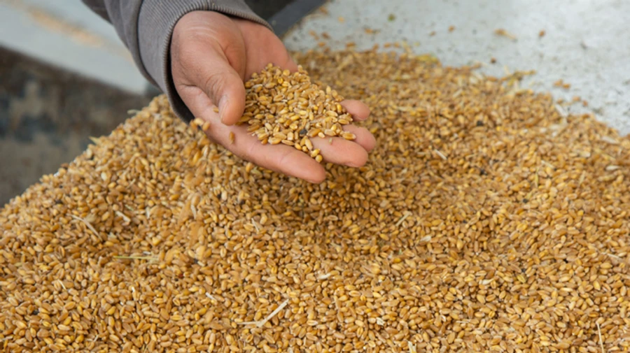 Польша отменила односторонний запрет на импорт из Украины после решения Еврокомиссии