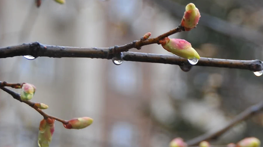На Украину надвигается похолодание и дождь