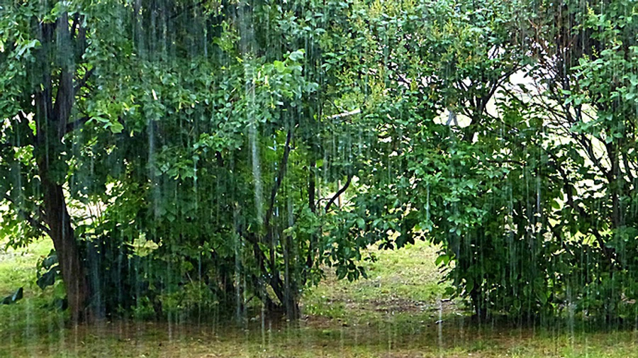 Україну накриють дощі та грози