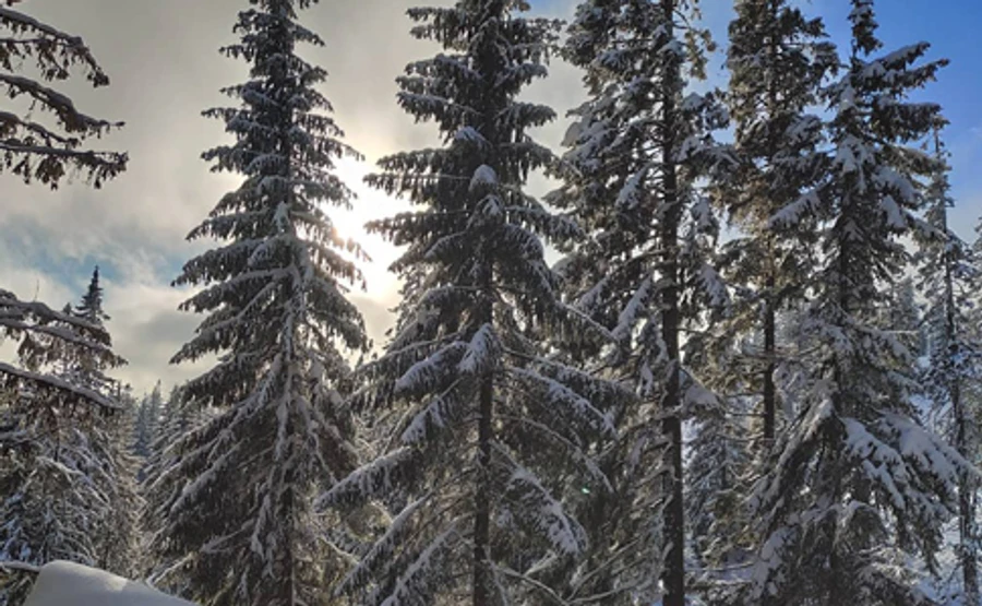 Снежный циклон уходит из Украины