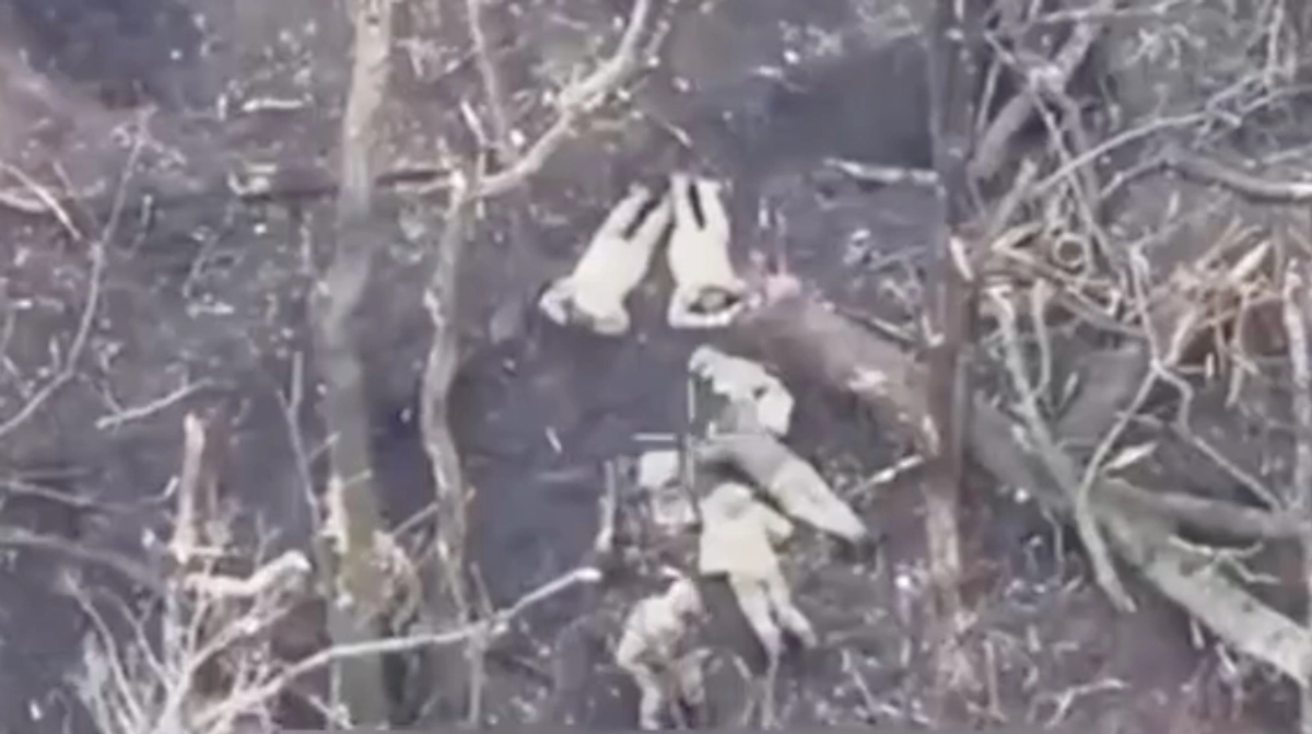 Russians execute four Ukrainian POWs in Kharkiv Oblast – DeepState