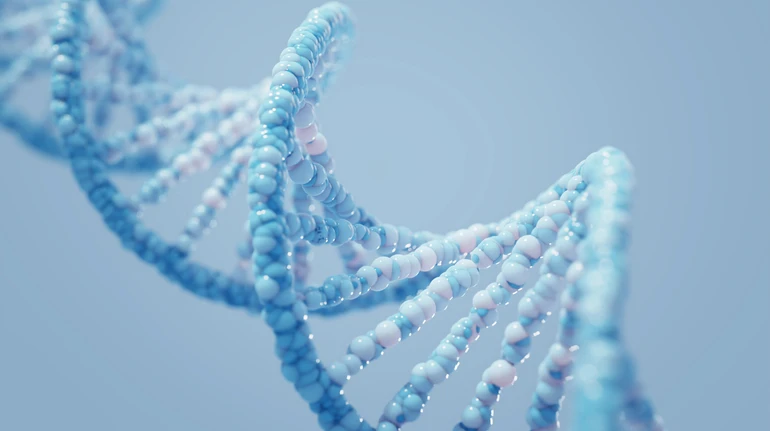 Дослідження давньої ДНК розкрило таємницю масового зникнення населення Європи 5000 років тому