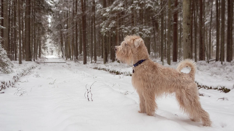 Синоптики рассказали, какая погода будет в декабре