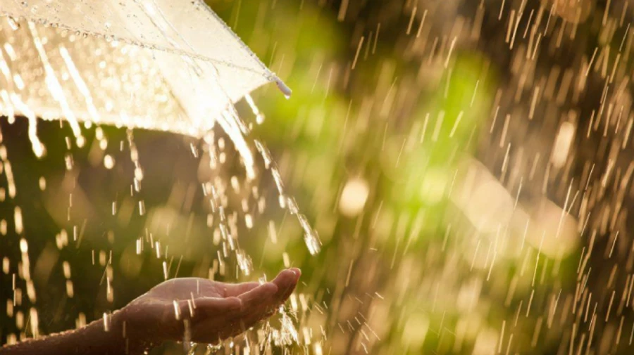 В Украине будет тепло, местами дожди