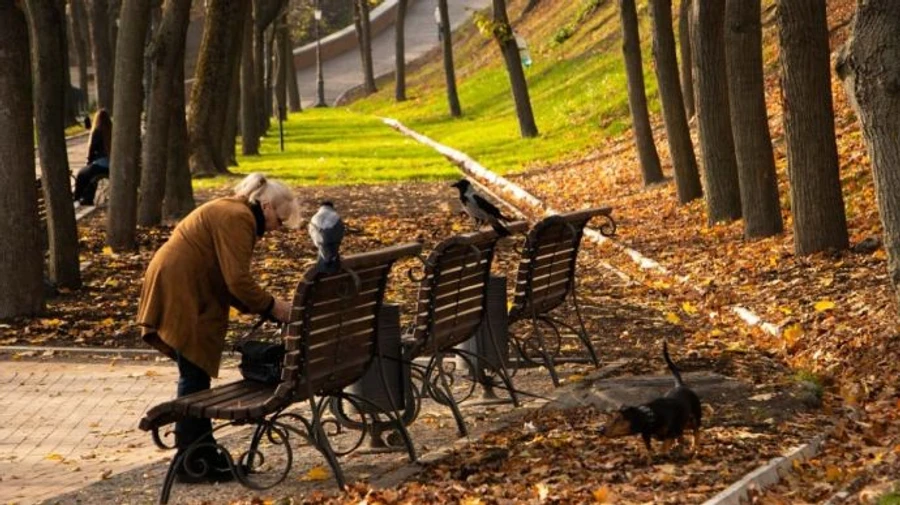 Синоптики обіцяють вихідні без дощу та тепло до 15°