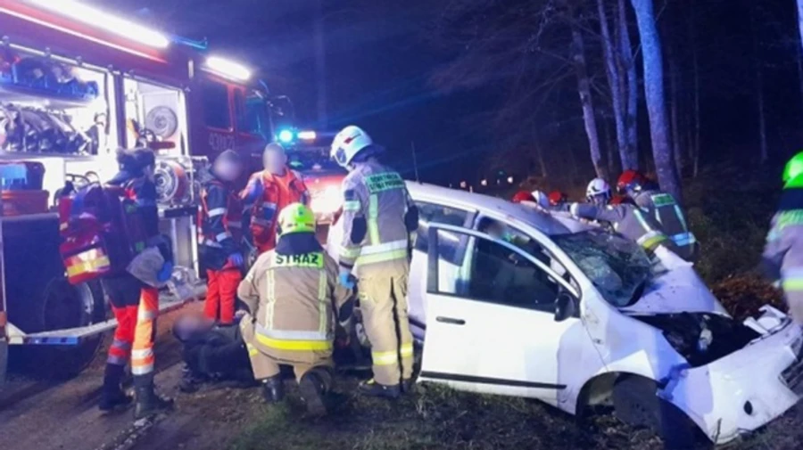 У Польщі впіймали чергового перевізника нелегальних мігрантів: влетів у дерево, втікаючи від поліції