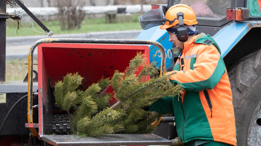 В Киеве открыли 33 пункта переработки елок