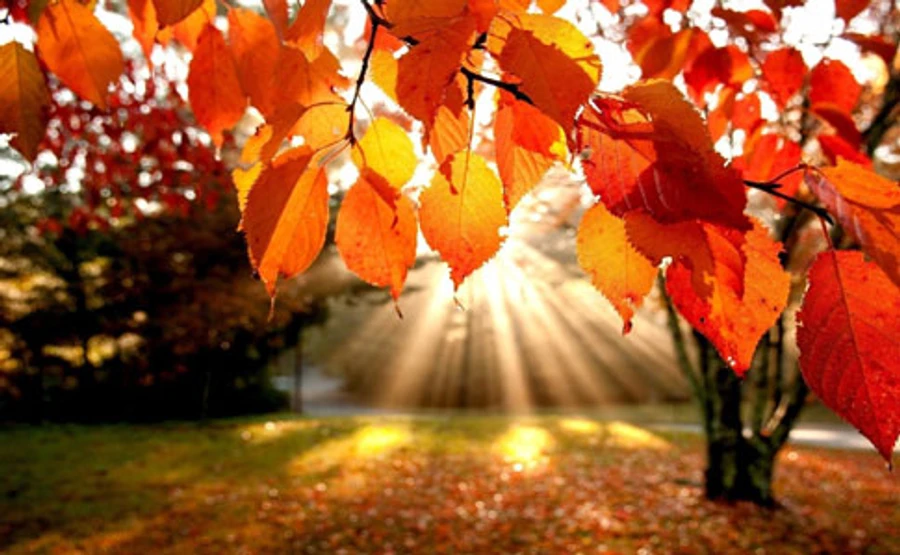 В Україну повертається тепло 