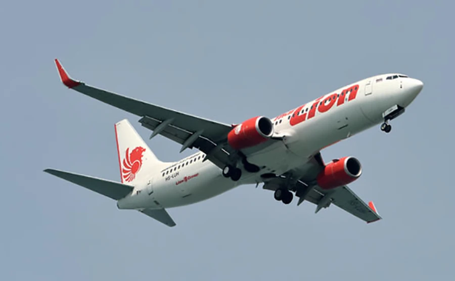 В Индонезии упал в море пассажирский самолет, на борту было 189 человек