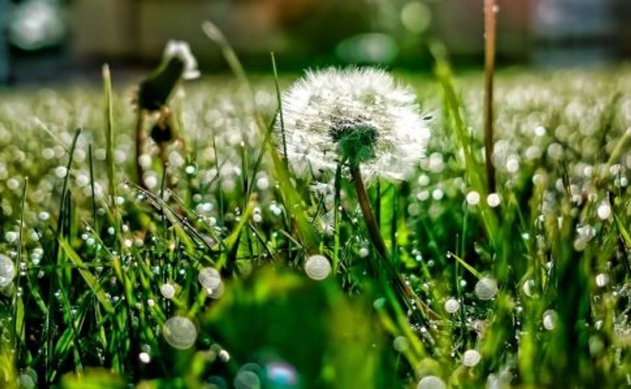 До України йдуть кілька днів прохолоди і грози