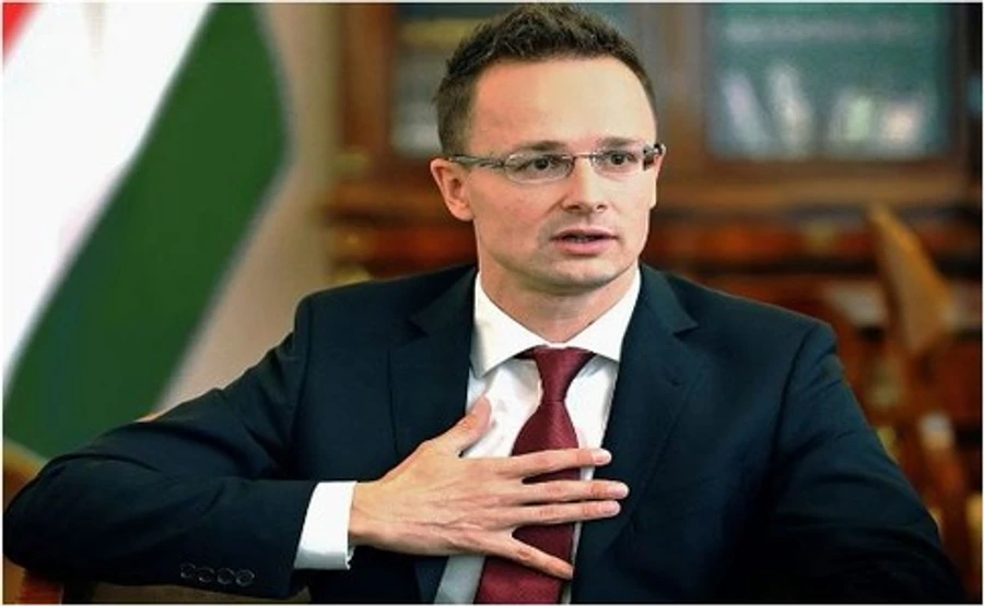 МЗС Угорщини вимагає від Києва юридичних гарантій щодо закону про освіту