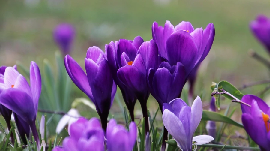 У понеділок в Україні до 18° тепла, без опадів