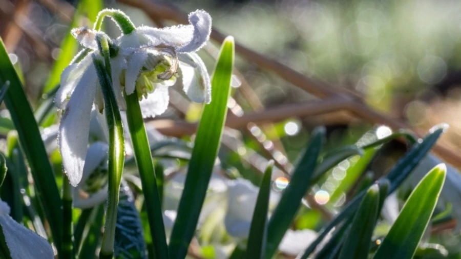 У середу в Україні очікується суха погода, температура протягом доби від 0 до +15