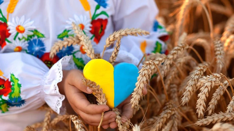 Чим багатіє дурень? Перевірте, як добре ви розумієтеся на українських приказках