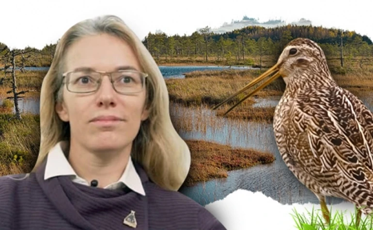 Польотна зона. Як війна впливає на птахів та чому сьогодні їх слід охороняти більше