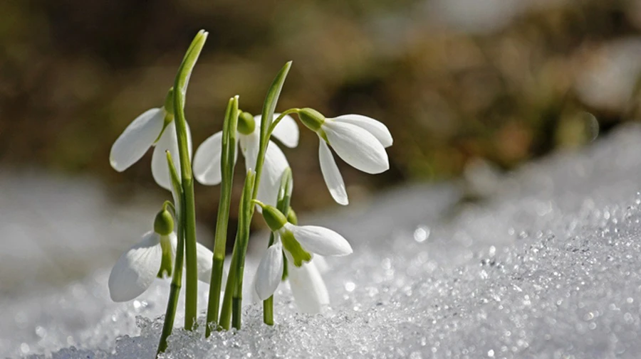В Украине будет сухо и потеплеет