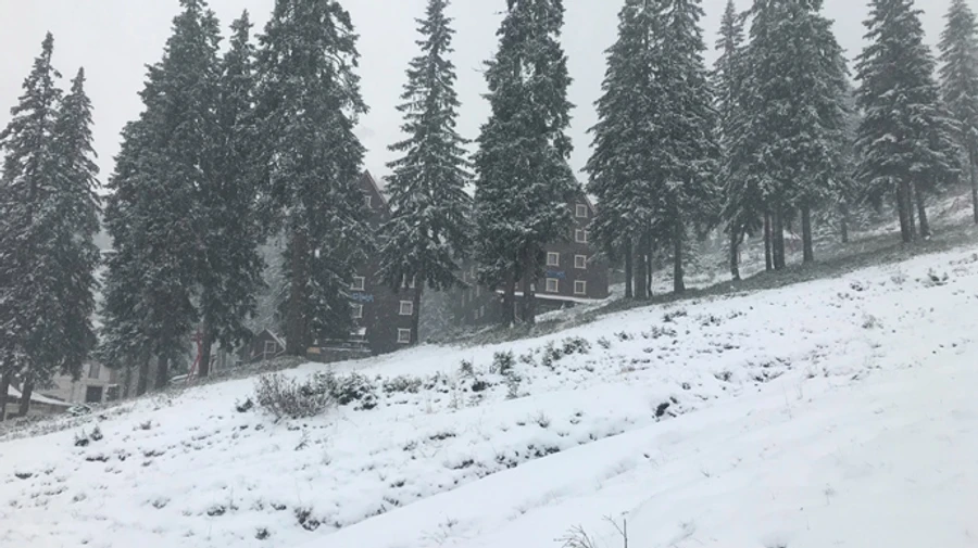 У Карпатах сніжить, на Драгобраті уже 7 см 