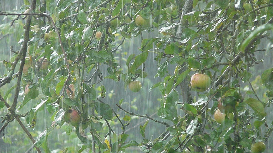 На Київщину суне гроза і злива