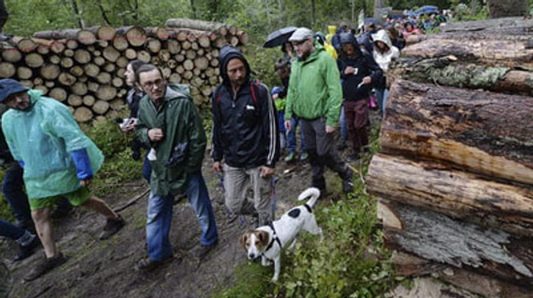 Повернення кругляка: які наслідки матиме завершення суперечки з ЄС щодо експорту лісу