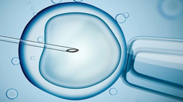 ПОДКАСТ. Диво у пробірці: штучне запліднення, безпліддя чоловіків, та з чого починається день ембріолога